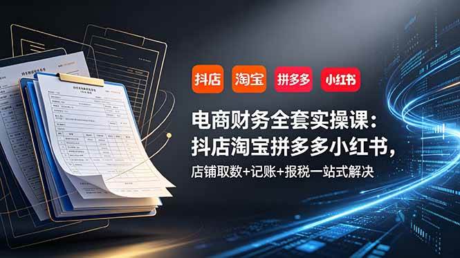 （19001期）电商财务全套实操课：抖店淘宝拼多多小红书，店铺取数+记账+报税一站式解决-佰因轻创网