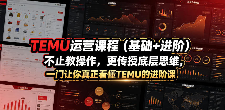 TEMU运营课程(基础+进阶)，不止教操作，更传授底层思维，一门让你真正看懂TEMU的进阶课-佰因轻创网