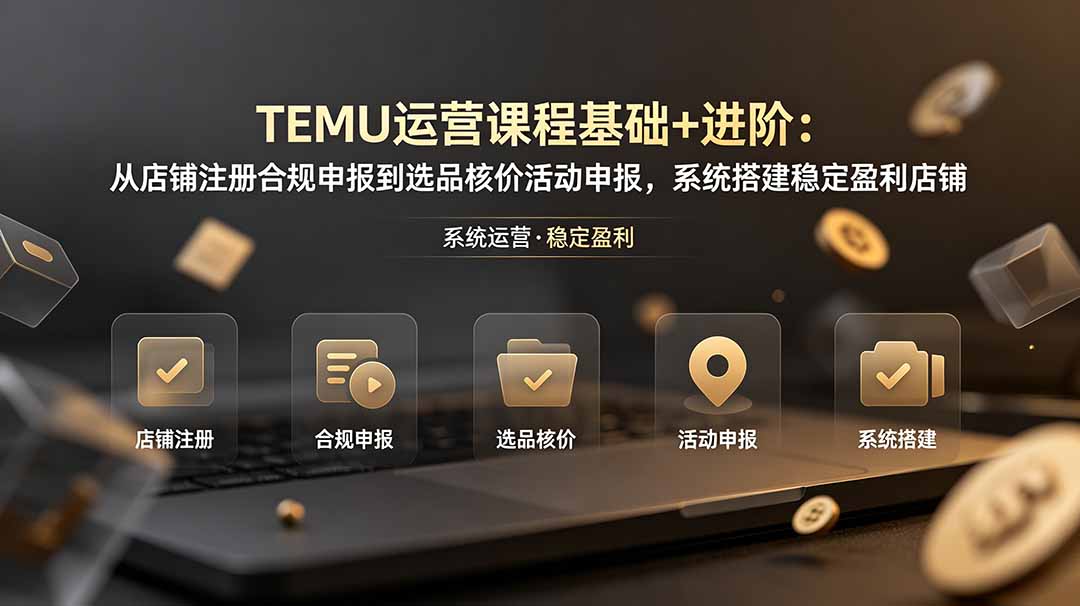 TEMU运营课程(基础+进阶-佰因轻创网