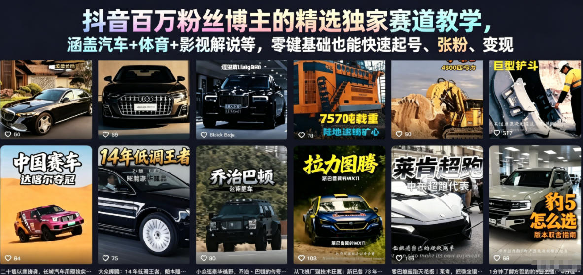 抖音百万粉丝博主的精选独家赛道教学，涵盖汽车+体育+影视解说等，零基础也能快速起号、涨粉、变现(更新0701)-佰因轻创网