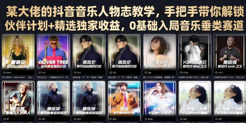 某大佬的抖音音乐人物志教学，手把手带你解锁伙伴计划+精选独家收益，0基础入局音乐垂类赛道-佰因轻创网