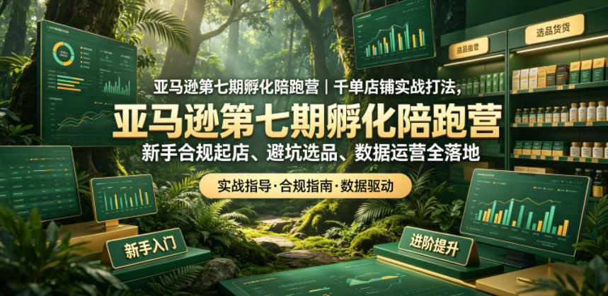 亚马逊孵化陪跑营|千单店铺实战打法,新手合规起店、避坑选品、数据运营全落地(更新0708)-佰因轻创网