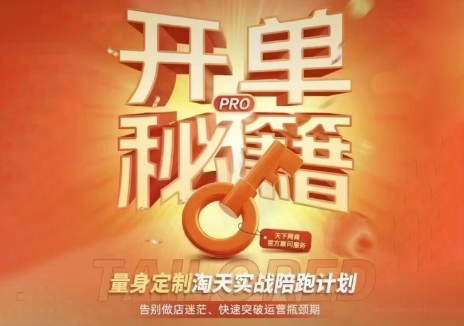 天下网商·淘宝天猫陪跑计划(更新7月)-佰因轻创网