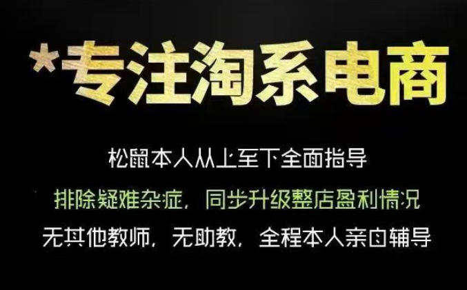 松鼠会电商VIP课程，从基础布局到高阶优化，助你掌握淘宝运营逻辑，提升店铺流量与转化(更新0711)-佰因轻创网