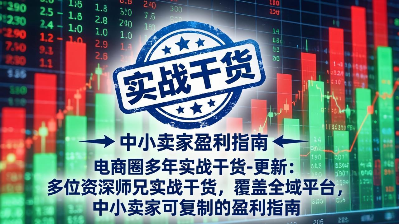 电商圈多年实战干货-更新2026：多位资深师兄实战干货/覆盖全域平台，中小卖家可复制的盈利指南-佰因轻创网