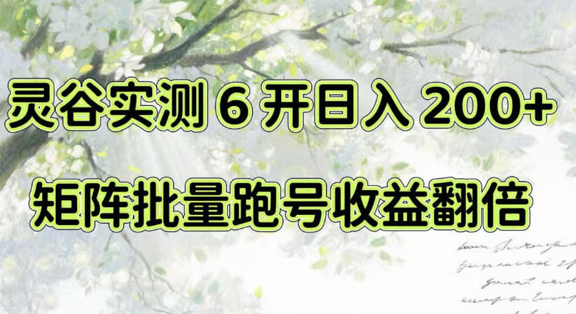 一台电脑就能做！灵谷实测6开日入200+，矩阵批量跑号收益翻倍【揭秘】-佰因轻创网