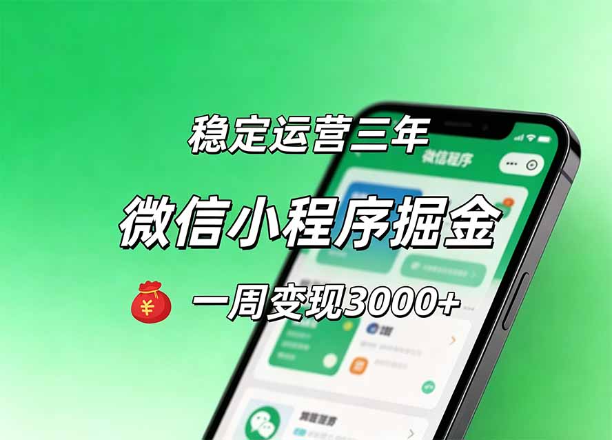 月收益稳定1W+的微信小程序，前期积累客户，后期躺平养老，小白轻松上手-佰因轻创网