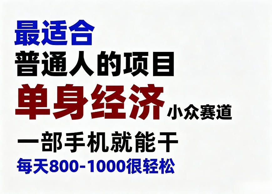 身经济小众赛道，一部手机就能干，每天搞个800-1000很轻松，最适合普通人的项目【揭秘】-佰因轻创网