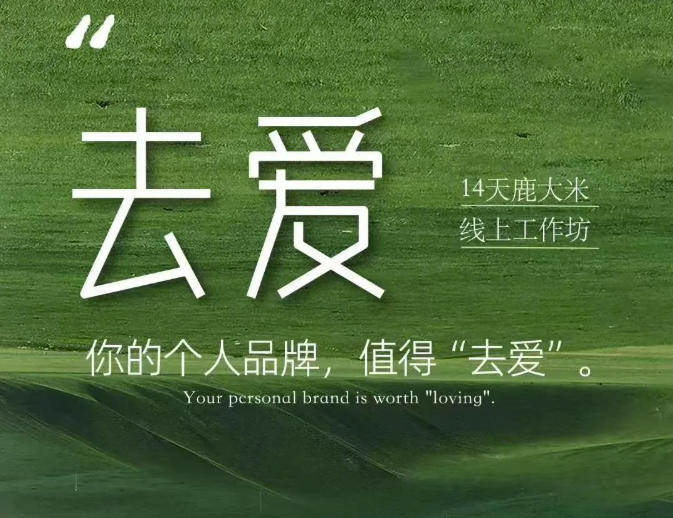 去爱14天鹿大米线上工作坊，你的个人品牌，值得“去爱”-佰因轻创网