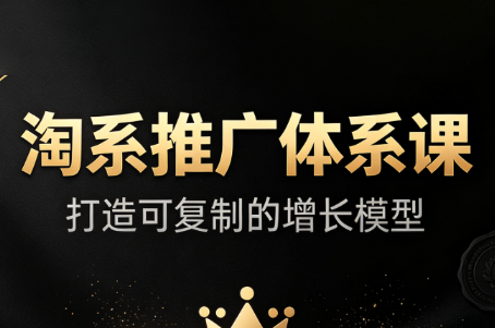 大山·淘系推广体系课-佰因轻创网