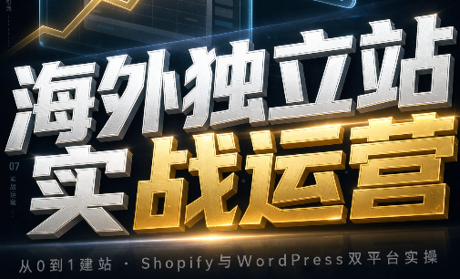 海外独立站实战运营-佰因轻创网