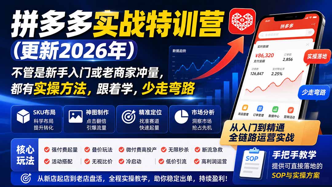 拼多多实战特训营(更新0915-佰因轻创网