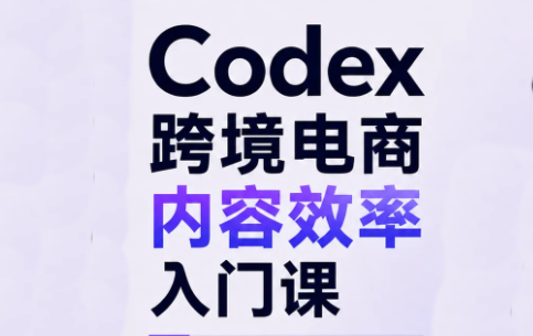 Codex跨境电商内容效率入门课-佰因轻创网