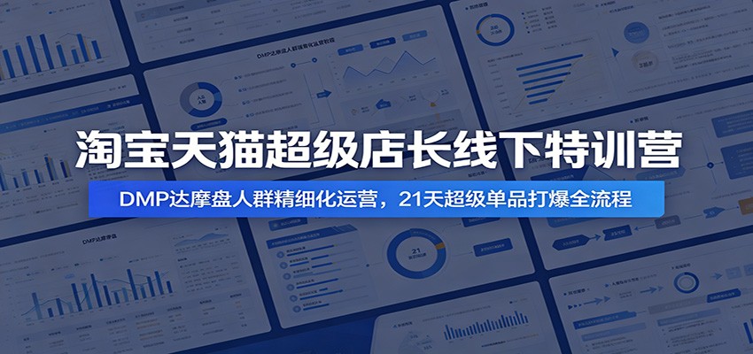 淘宝天猫超级店长线下特训营：DMP达摩盘人群精细化运营，21天超级单品打爆全流程-佰因轻创网