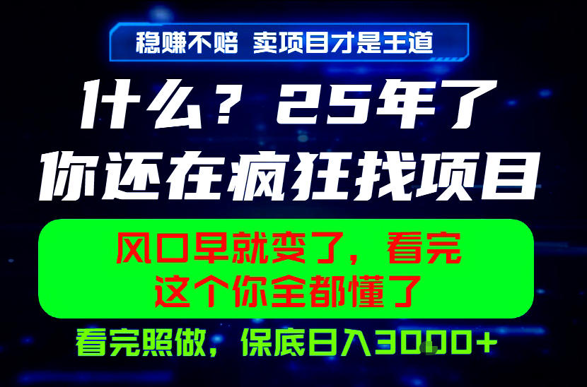 26年，请不要疯狂的找项目做了！卖项目才是真的稳賺不赔，看完照做，保底日入1k+【揭秘】-佰因轻创网